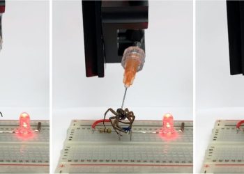 How researchers at Rice University in Texas figured out how to revive dead spiders (sort of)