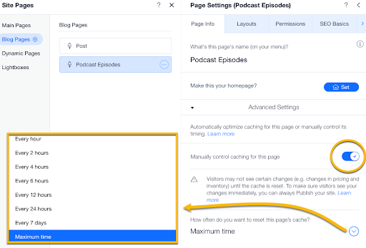 Wix Manual Page Caching