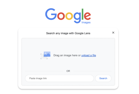 Google images search engine