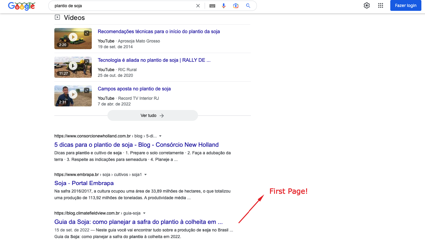 Print of Google Serp First Page